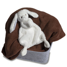 Load image into Gallery viewer, Silky White Bunny Lovey – 13″